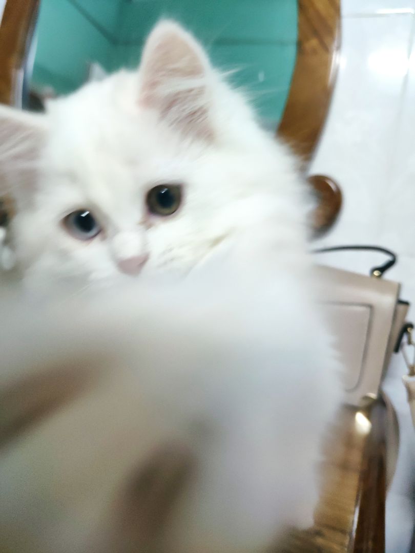 kẹp tóc dth lắm , nhìn cũng chắc chắn . giá cũng ổn . giao hàng nhanh , shipper nhiệt tình cho shop 5*
hình ảnh mang tính chất minh họa kẹp tóc dth lắm , nhìn cũng chắc chắn . giá cũng ổn . giao hàng nhanh , shipper nhiệt tình cho shop 5*
hình ảnh mang tính chất minh họa