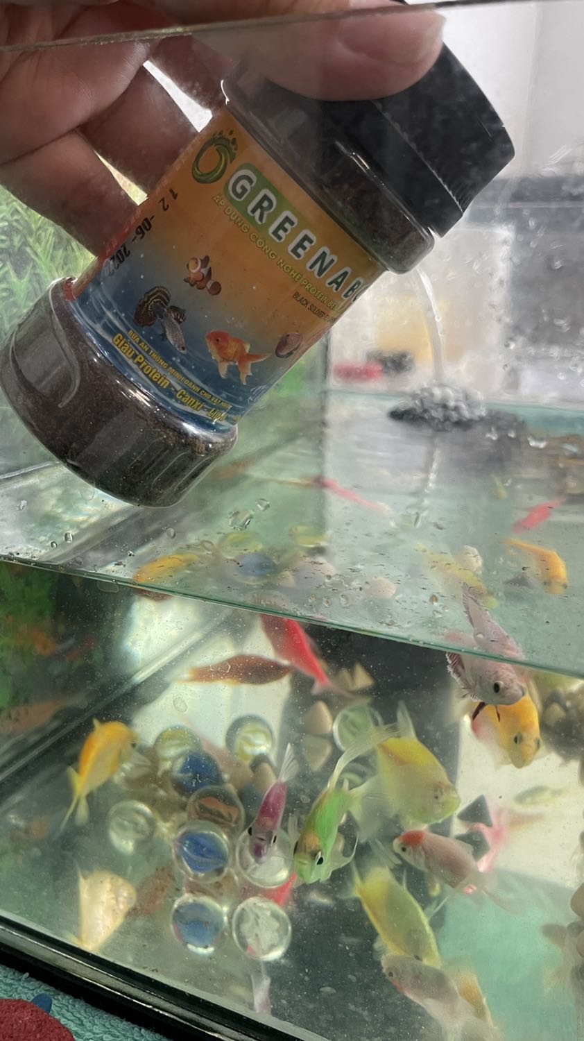 Sản phẩm bén mồi, cá đớp nhanh như chớp. Like mạnh Sản phẩm bén mồi, cá đớp nhanh như chớp. Like mạnh