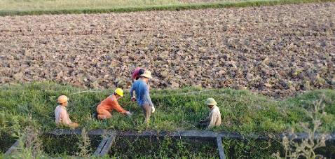 Quần mặc rất ôm eo, bạn nào mà có bụng tí là che bụng tôn dáng rất tốt, không có bụng thì càng đẹp. Chắc đây là loại quần tủ tiếp theo của mình thôi. Giá cả thì rất chi là hợp lý. Vì thay quần thường xuyên nên tìm đc loại ưng ý mà giá hợp lý thì còn gì bằng. Sẽ ủng hộ tiếp lần sau nhé!