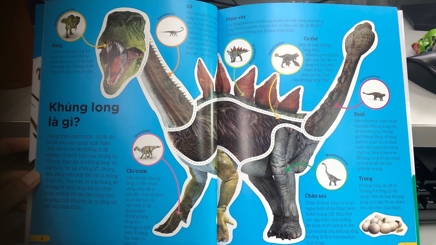 Khủng long đã tuyệt chủng từ lâu nhưng lại là đề tài hấp dẫn với con người và đặc biệt với nhiều trẻ em. Sách dịch từ bộ sách gốc rất uy tín DKfindout, là nguồn tài liệu hữu ích và đẹp, nhiều màu sắc để tìm hiểu về loài vật to lớn đã từng thống trị Trái Đất.