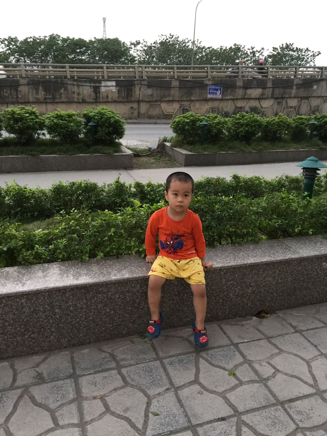 Bé nhà mình sinh xong cho dùng loại này đến 6 tháng. Con mình dùng mỗi loại này thôi nên giờ 2 tuổi thấy ăn uống tốt, ít ốm vặt, nuôi con khá trộm vía.
Đứa em dâu mới sinh nên đặt tiếp cho cháu. Bé nhà mình sinh xong cho dùng loại này đến 6 tháng. Con mình dùng mỗi loại này thôi nên giờ 2 tuổi thấy ăn uống tốt, ít ốm vặt, nuôi con khá trộm vía.
Đứa em dâu mới sinh nên đặt tiếp cho cháu.