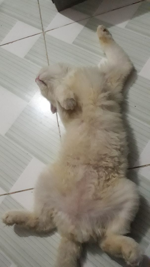 thời gian giao hàng nhanh chóng, đóng gói đep, sẽ tiếp tục ủng hộ nếu chất lượng tốt