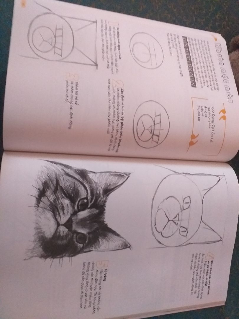 giao hàng nhanh hơn dự kiến. giá rẻ sách sinh động. dễ học cho ng mới bắt đầu học vẽ kiến thức cơ bản