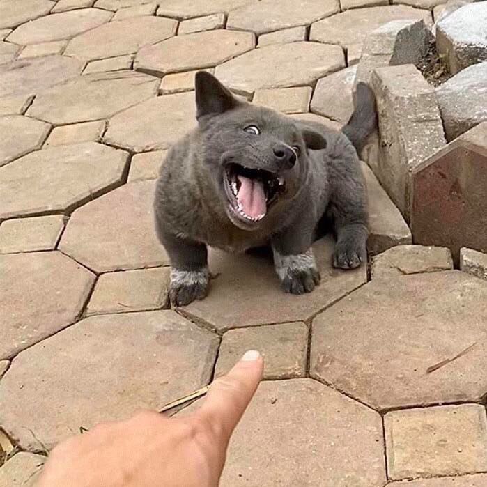 Nhận hàng nhanh, mình không có chụp sp nên thay thế hình này