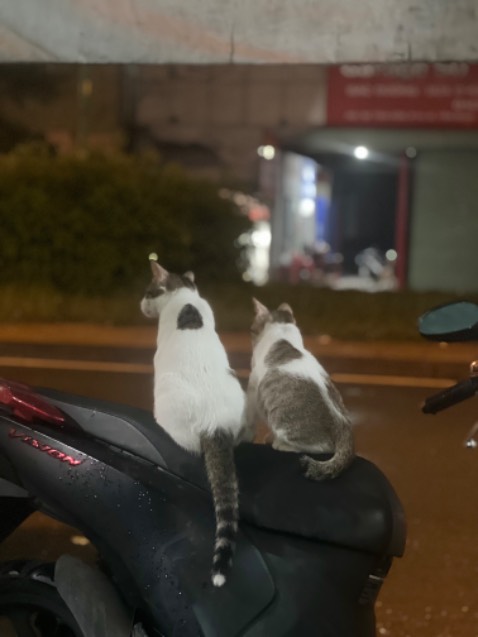 Shop gói hàng cẩn thận, đúng kích cỡ .