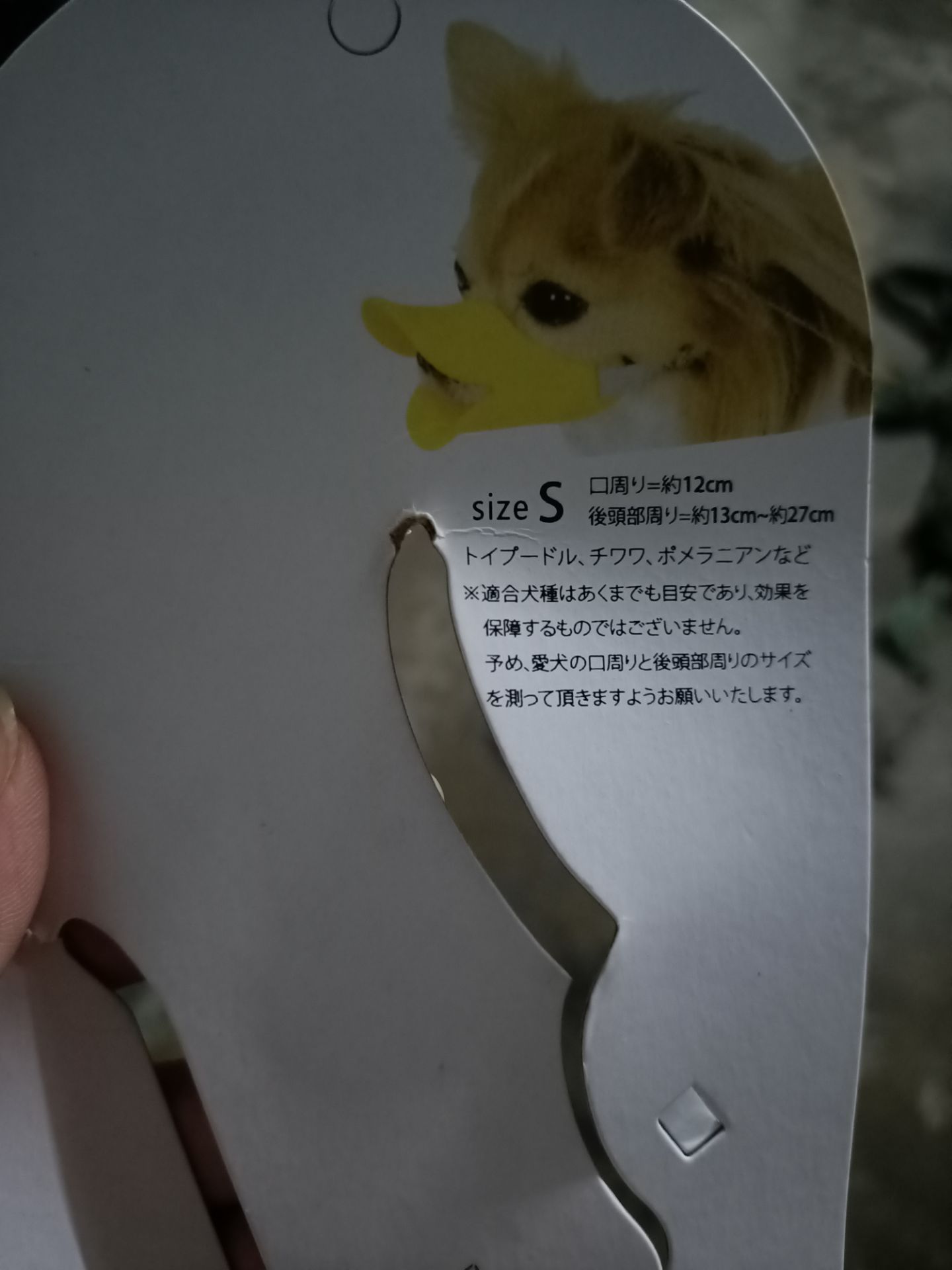 Giao cho mình là size S không phải M nhưng may là nó vừa