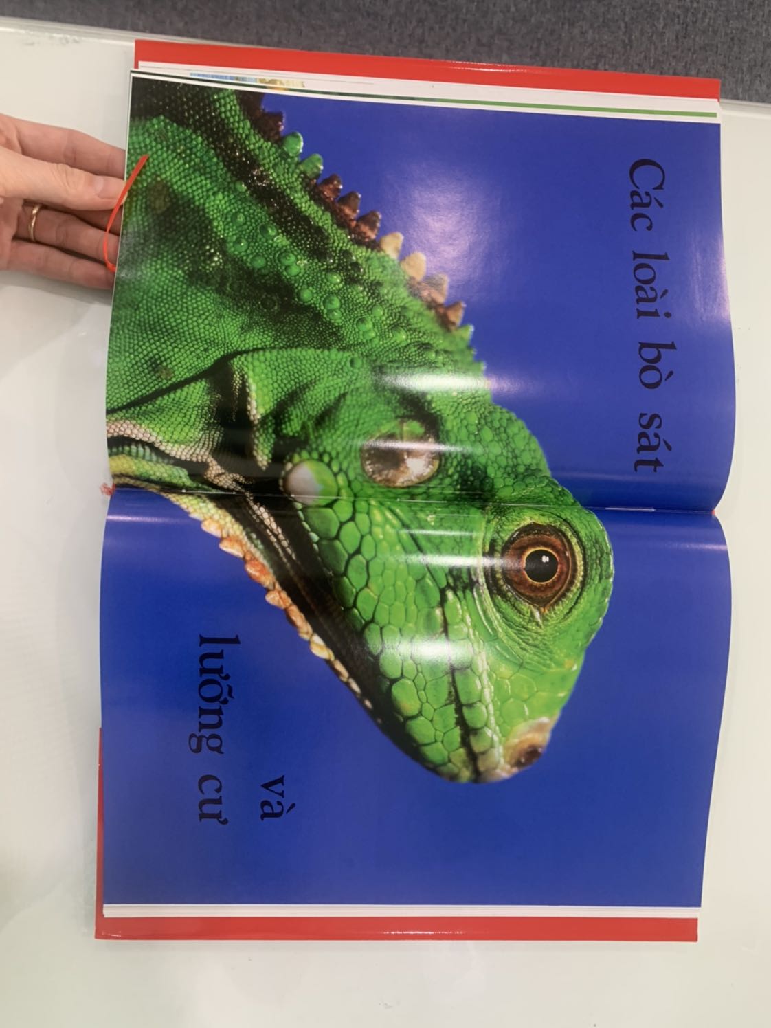 sách dày, đẹp, giá tốt mong là bé sẽ thích