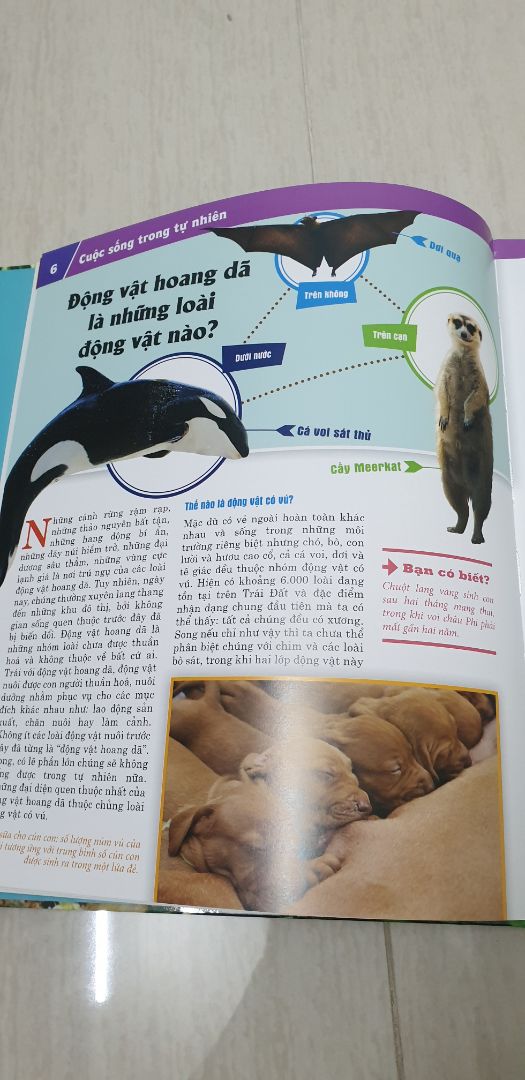 quyển sách đúng là 1 cẩm nang hữu ích cho những ai đam mê thế giới động vật.Toàn bộ thông tin trong cuốn sách đều rất tuyệt vời.Nhân viên giao hàng nhanh,thân thiện.Cho tiki 5 sao nhé.Lần sau sẽ tiếp tục ủng hộ