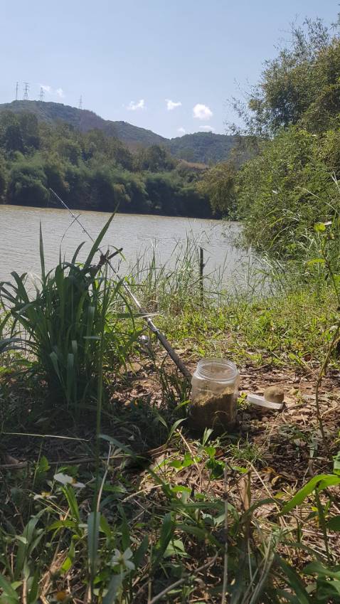 Shop giao hàng siêu nhanhhhhh 👍🏽 chưa đến 2 ngày là có hàng rồi