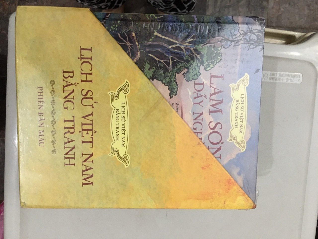 Bộ sách không chỉ được chuyển đến địa điểm đúng thời gian trong hộp bảo quản tốt, mà quan trọng hơn là rất đúng lúc cho hai cháu tôi - một cháu học lớp 6 có các bài học về lịch sử cổ đại thế giới và Việt Nam, và một cháu học lớp 7 với những bài học lịch sử về thời kỳ Trung cổ (bao gồm cả các triều đại phong kiến Việt Nam).