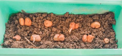 Khăn dùng thích. Giá phải chăng. Ảnh chỉ mang tính chất nhận astra