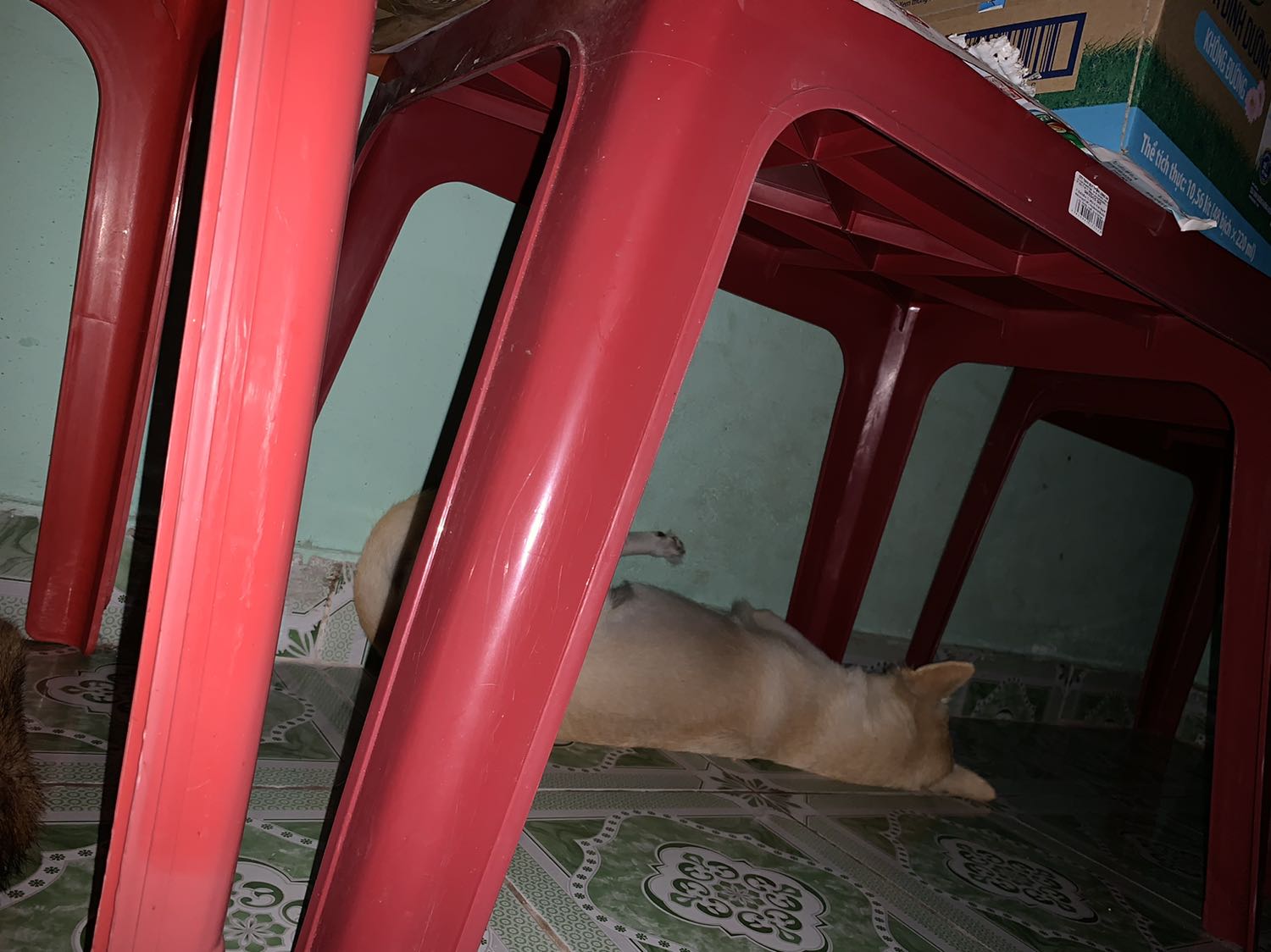 Cảm ơn tiki nhiều lắm . Tiki