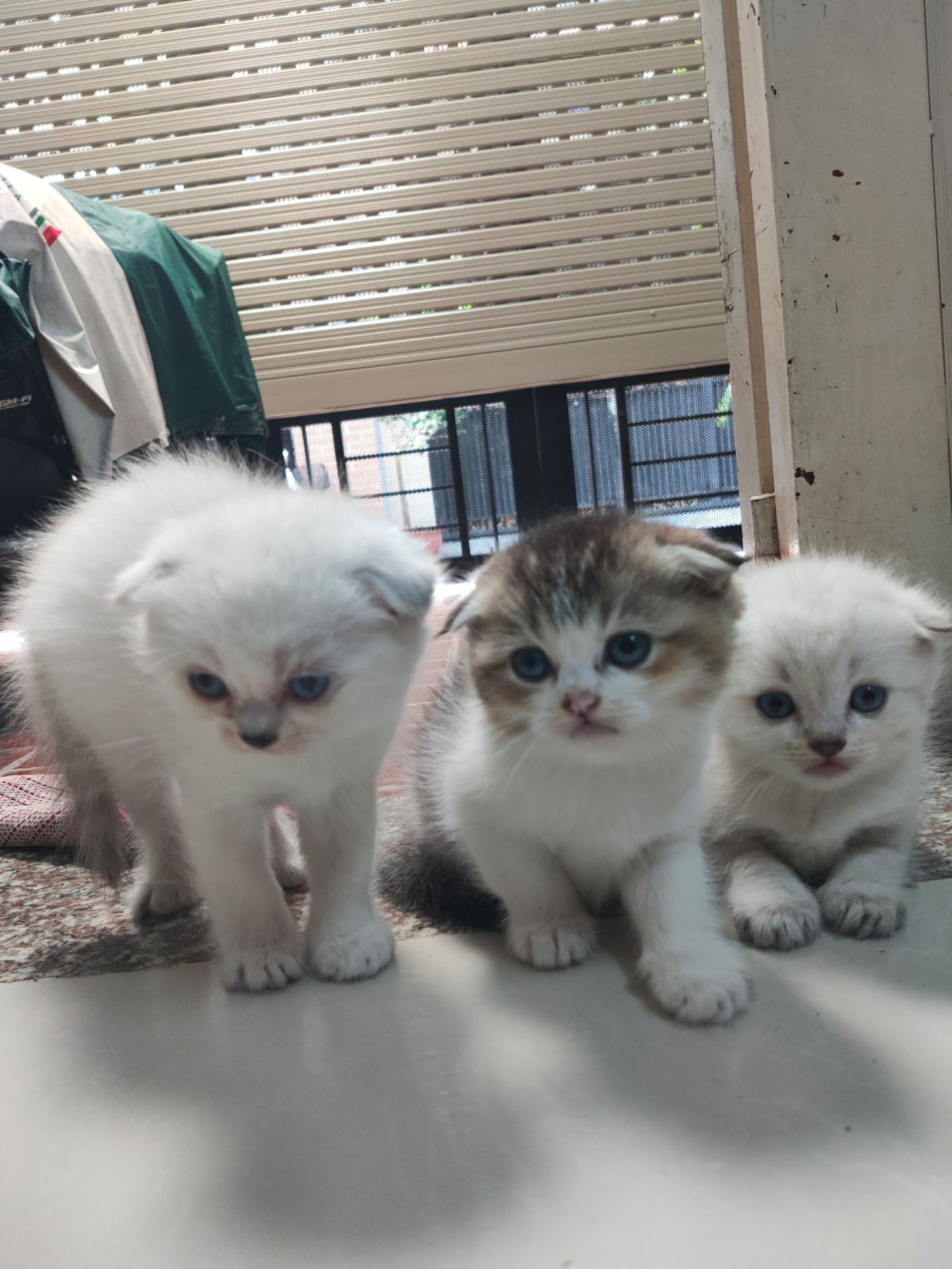 shop bán giá khá rẻ so với thị trường chất lượng sản phẩm rất tốt!hsd 2023 nói chung rất ưng ý sẽ tiếp tục ủng hộ shop khi có nhu cầu!!!