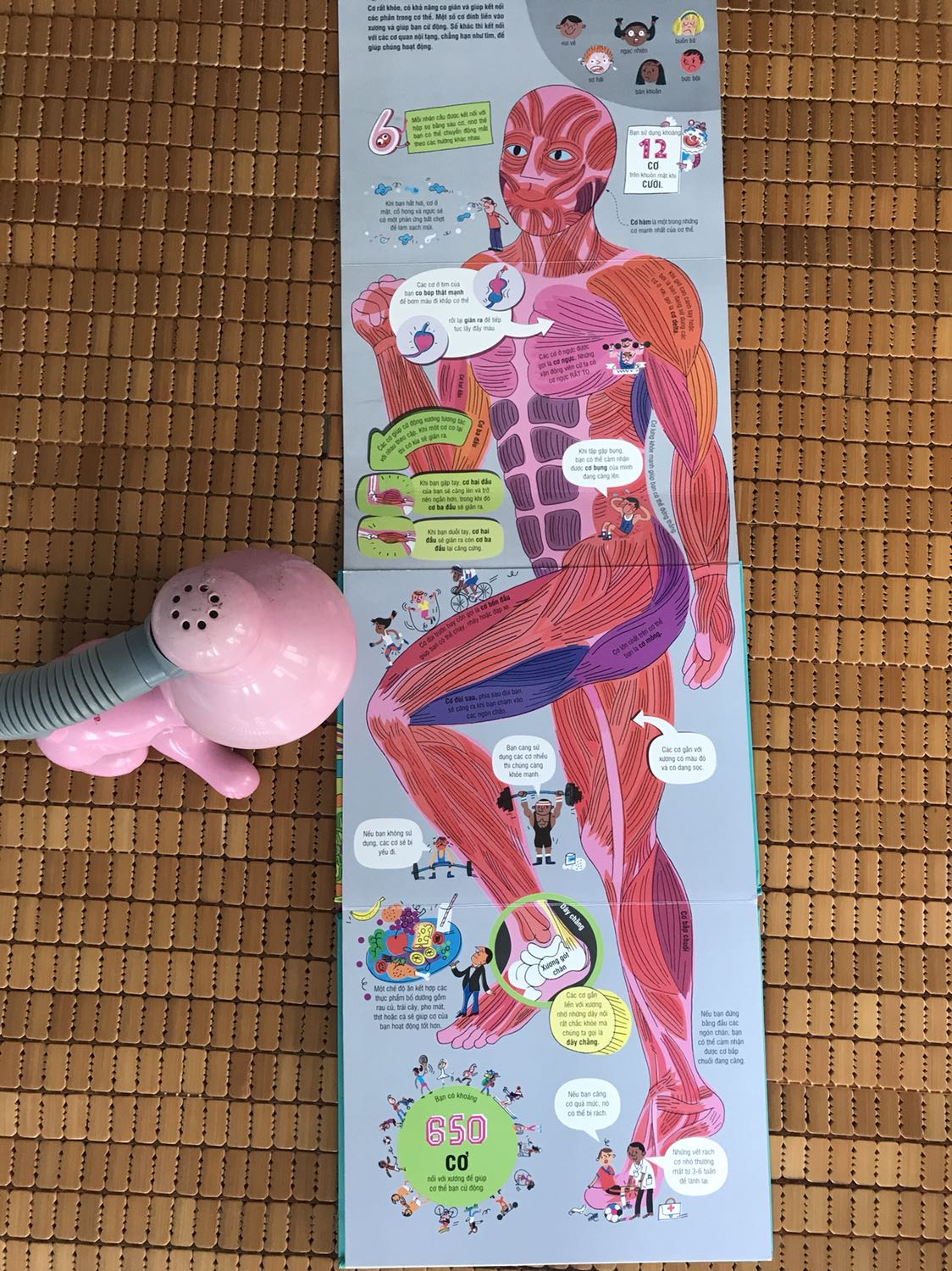 ? CUỐN SÁCH KHỔNG LỒ VỀ CƠ THỂ NGƯỜI

Nằm trong bộ các cuốn sách khổng lồ, “Cuốn sách khổng lồ về cơ thể người” tại thời điểm hiện tại được lòng bạn Tôm nhất, vượt xa cả “Cuốn sách khổng lồ về các loại xe tải”, “về khủng long” - mà mẹ ngỡ sẽ được lòng Tôm hơn trước khi mua về!

Mẹ không có nhiều thời gian để đọc sách cho Tôm, nên ông con tự xem, muốn hiểu về cái gì thì lại quay sang hỏi mẹ. Vốn kiến thức ít ỏi, mẹ thường nhìn vào những gì nêu trong cuốn sách và đọc to lên cho ổng nghe, đơn giản vậy thôi!

Tại thời điểm hiện tại, Tôm thích nhất trang “Thức ăn được tiêu hoá thế nào?” và rất háo hức khi mẹ đọc đến phần chất thải - “cục ị” ??

Đặc biệt, trang “vòng đời” tại thời điểm này cũng rất hấp dẫn với Tôm, lý do: bác Lê Giang vừa sinh em bé! Và bạn thường tự lật ra và chỉ vào tranh, tự diễn giải:

- Đây là anh ku ở trong bụng bác Giang này!

- Bác Giang đang bế anh ku này!

Và buồn cười nhất, có lần Tôm chỉ vào con tinh trùng, quay sang hỏi bác “con gì đây?”

Các mẹ hãy mua về và tìm hiểu cùng với con nhé!!!
