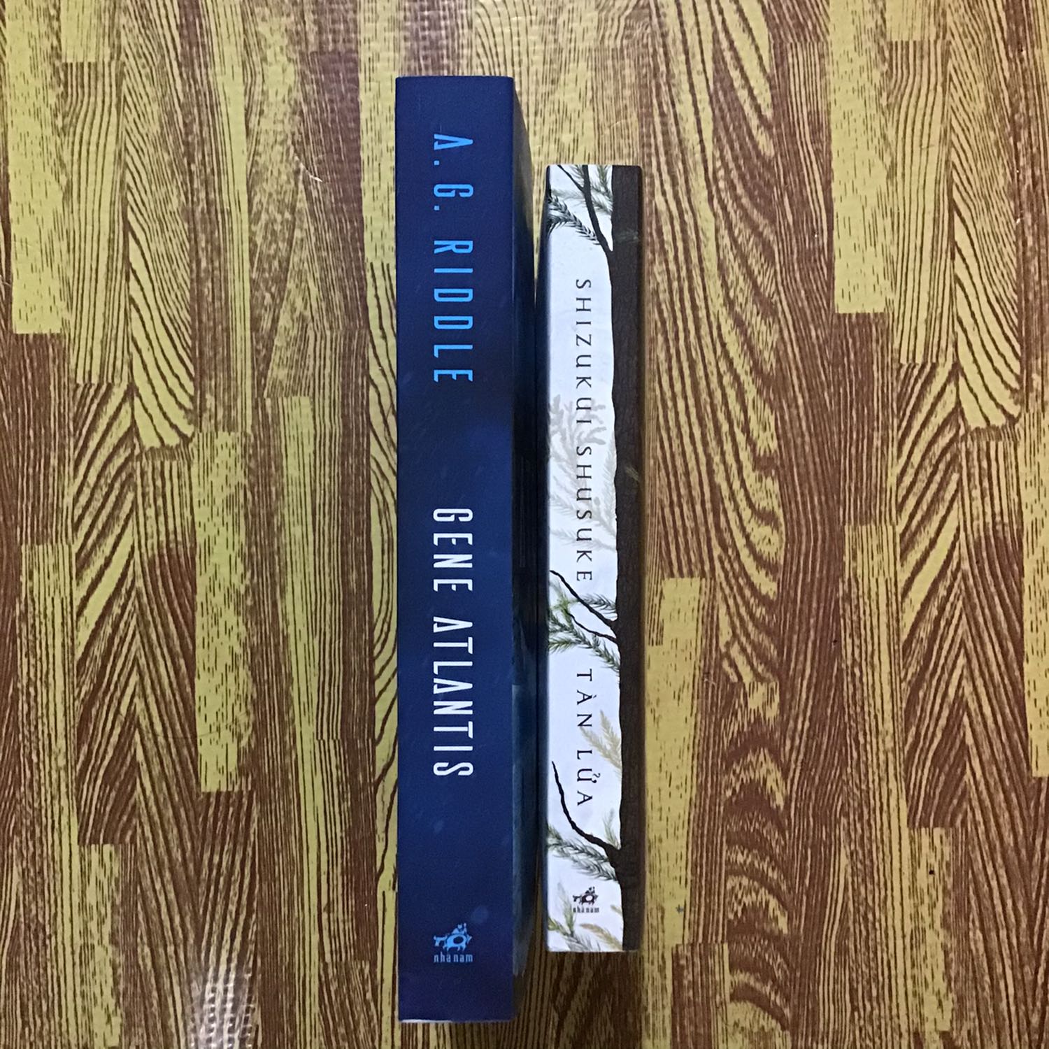 Sách mới cứng,mua lúc sale 30-35% thôi,cũng k có nhiều mã giảm giá tốt dạo gần đây nên mình cũng hạn chế mua hàng nếu k thật sự cần. Nhưng cuốn này thì cũng đáng đầu tư,mới ra nên cũng khó giảm sâu đc nếu muốn đọc sớm