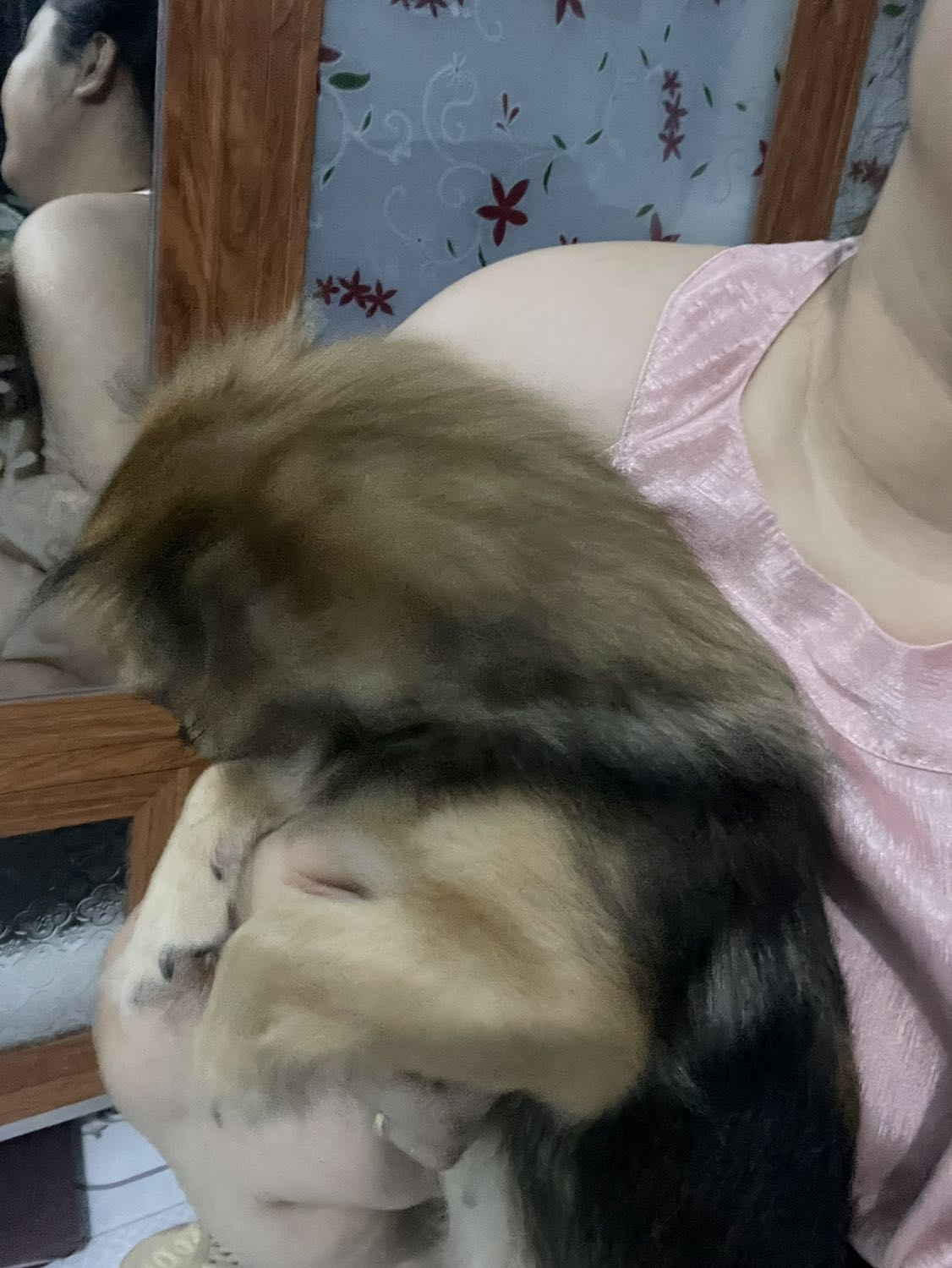 Thông điệp Muôn Kiếp Nhân Sinh đã mở cánh cửa dẫn người đọc đến thế giới tinh thần thanh khiết, thênh thang, nơi không có sự phân biệt giữa thế giới tâm lunh