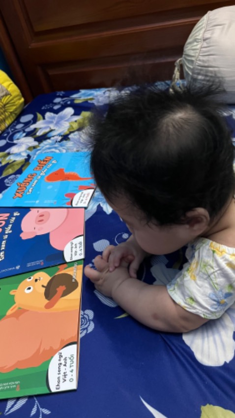 Hình vẽ siêu dễ thương bắt mắt, bé nhỏ thì nhìn màu sắc bé lớn hơn chút thì tương tác tìm hình. Hình vẽ siêu dễ thương bắt mắt, bé nhỏ thì nhìn màu sắc bé lớn hơn chút thì tương tác tìm hình.