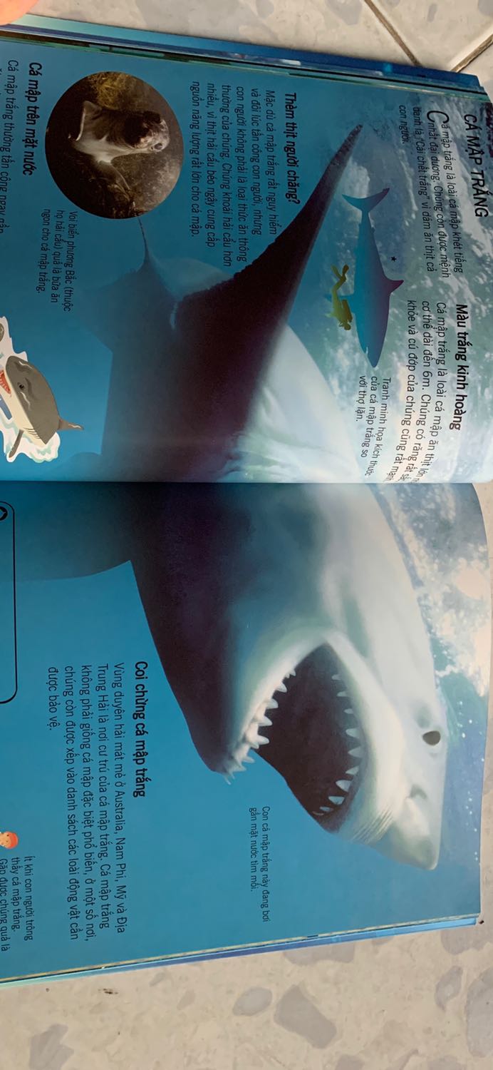 Sách đẹp, trang giấy dày, in ấn sắc nét. Nội dung chỉ tổng quan về các loài cá mập. Tuy nhiên đối với các bé thì kiến thức chung như vậy là ok rồi.