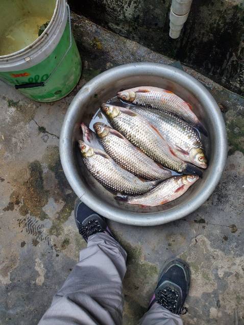 Hàng i như mô tả chất lượng ok