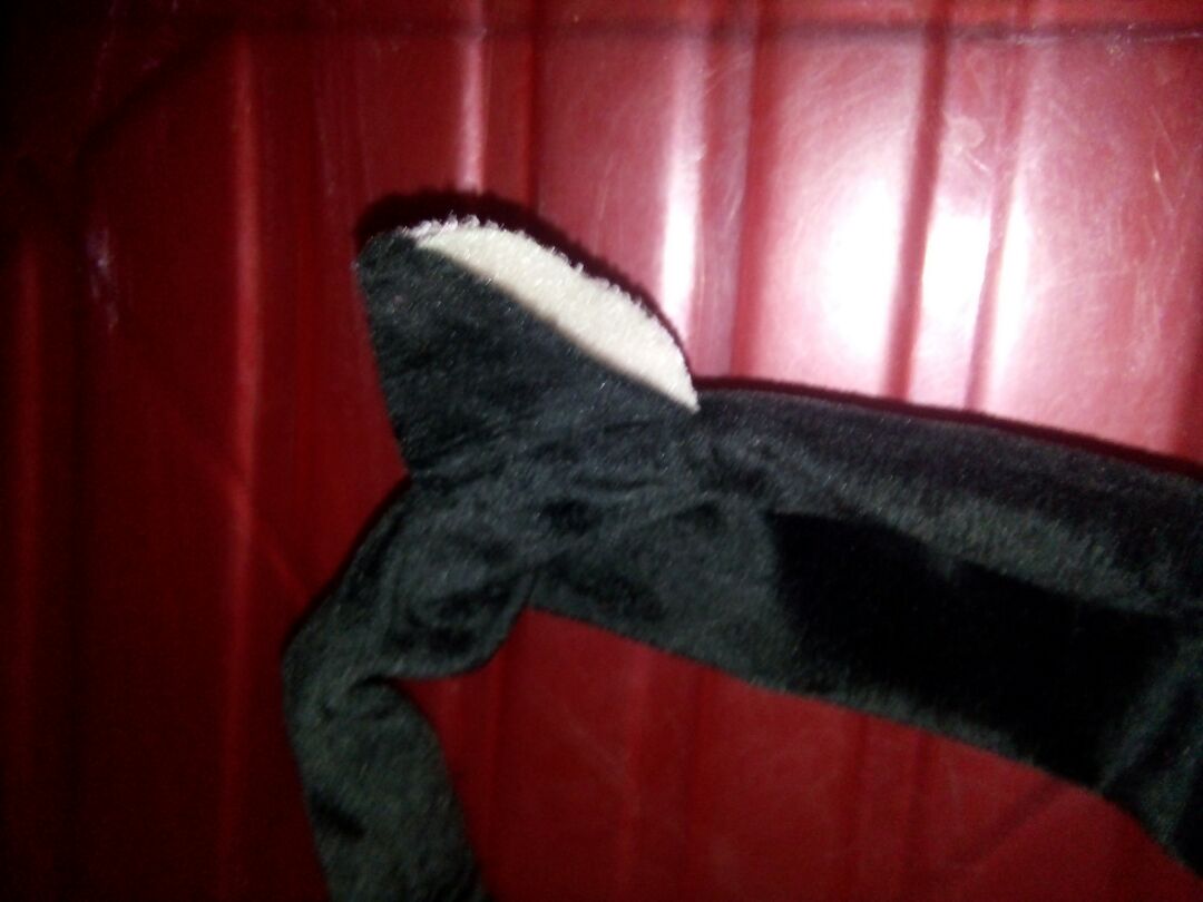 Băng đô đẹp, giá vừa phải, dùng khá tốt. Những khi giao hàng, thấy một bên tai mèo bị rách, mong lần sau shop sẽ chú ý hơn!