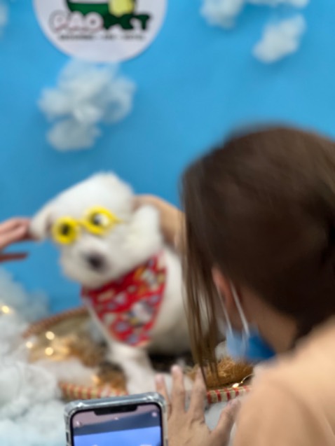 Hàng giao đúng sản phẩm
Được tặng kèm nhiệt kế đo khá hấp dẫn
Mong shop đưa ra nhiều khuyến mãi hơn vào lần tới nha
CẢm ơn shop rất là nhiều nè