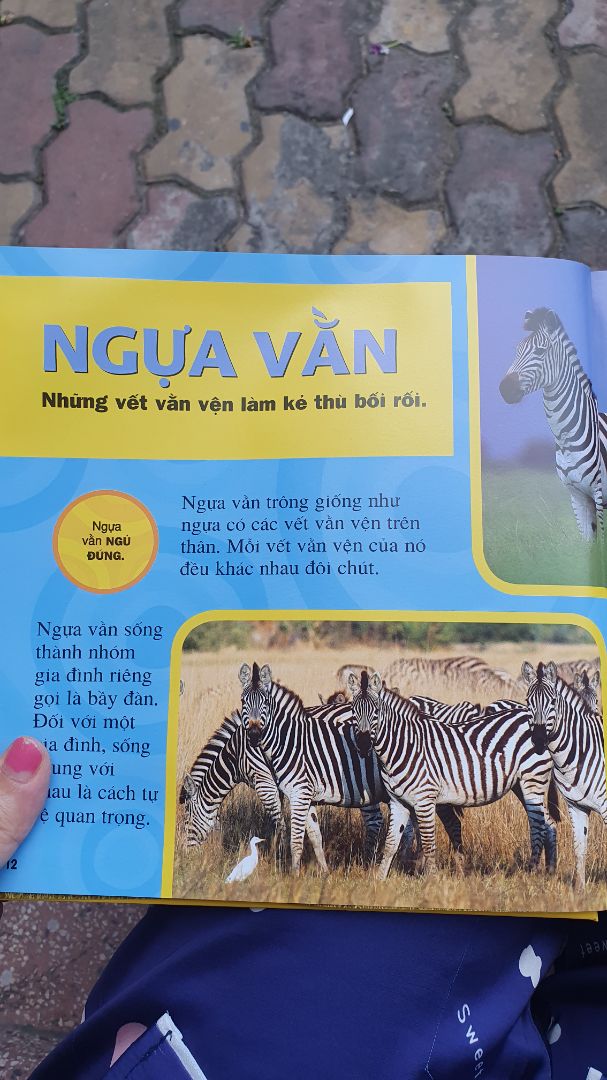 rất thích tiki vì giao hàng siêu nhanh. sách đẹp, dày dặn, màu sắc đẹp. nội dung bộ sách khá hay nên mình đã mua đủ bộ 5 cuốn.