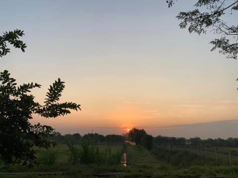 Hàng ok bao bọc kĩ và đúng hạn giao cảm ơn shop đã có tâm như thế.