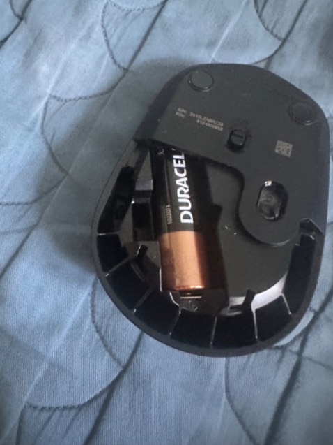 Review image
