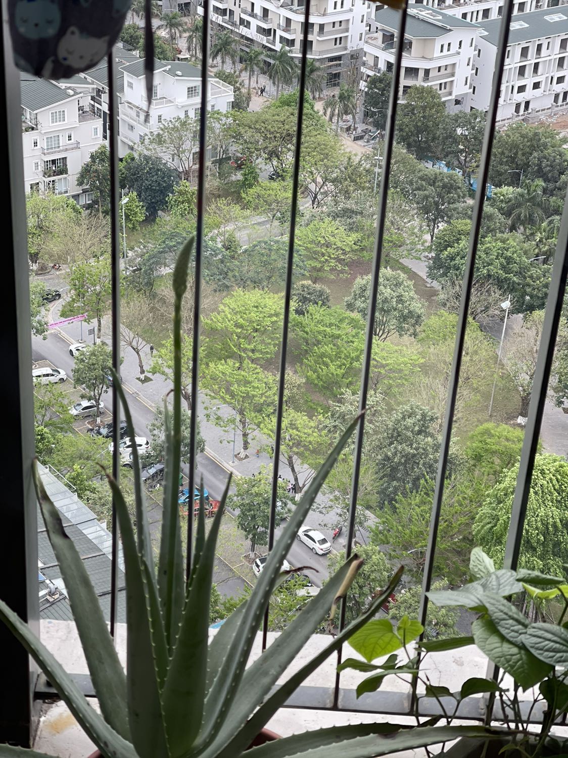 Săn sale được giá tốt
Bé rất thích
Giao hàng hơi lâu