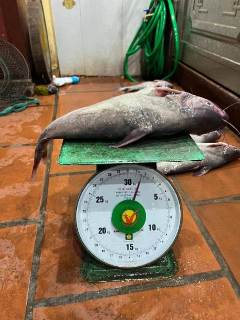 Shop giao hang nhận lam ma chat lượng thi tuyệt voi luon se ung ho shop tiep