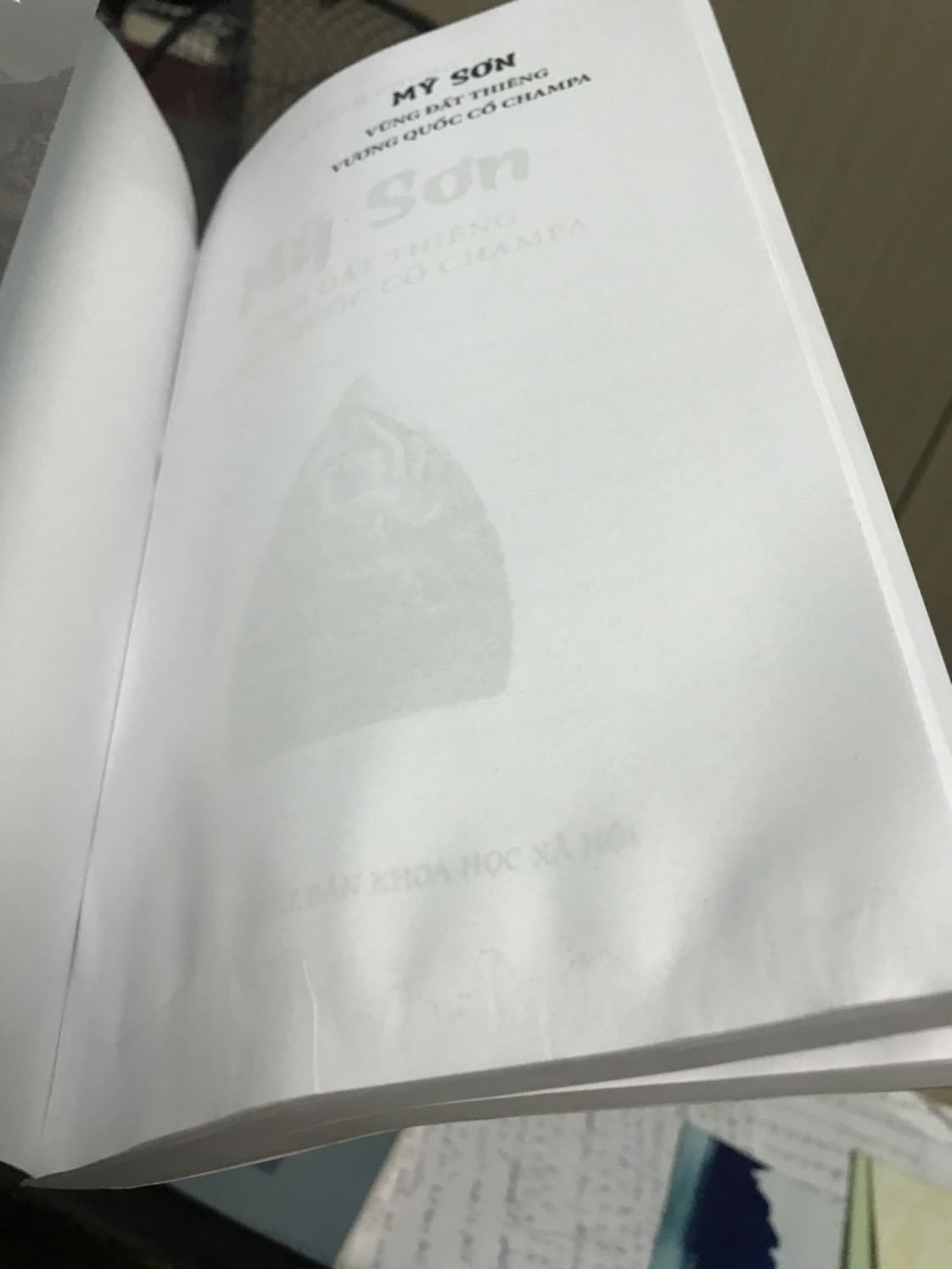 Sách Ship thế nào mà mưa ướt nửa cuốn, mình bật quạt cho khô đọc tạm nhưng nói chung là không hài lòng.