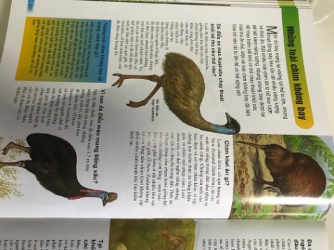 Sách dày đẹp, hình ảnh sống động