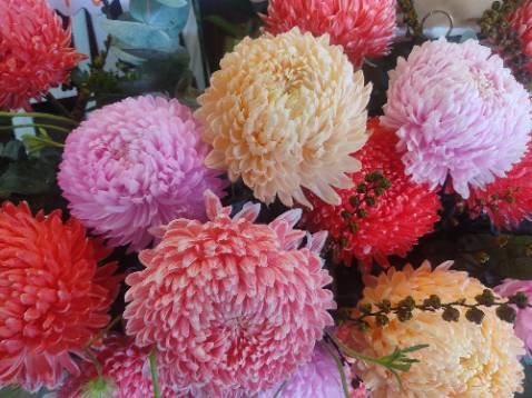 Giao hàng nhanh chóng, gói kỹ, gói mấy lớp lun ấy. Sữa này uống beo béo, ngon, ko có j chê đc