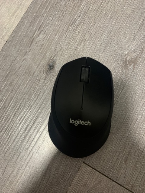 Chuột êm ái thoải mái