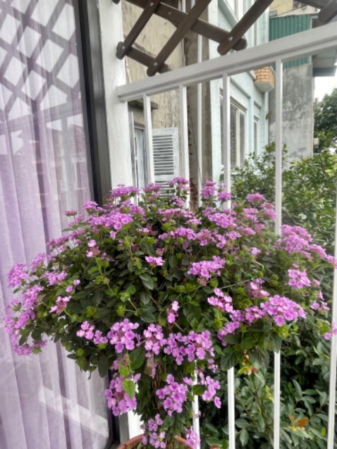 Sản phẩm đẹp, chắc chắn, đóng gói rất cẩn thận và đặc biệt shop hỗ trợ rất nhiệt tình👍