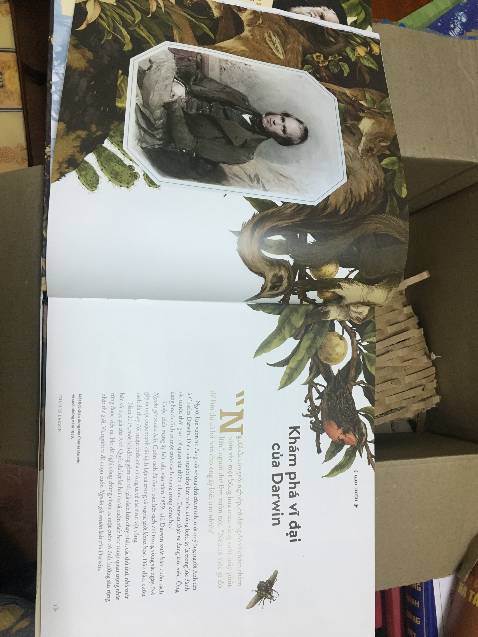 Mình thích bản này lâu rồi mà mãi mới săn sale được giá tốt. Sách rất đẹp, vận chuyển cẩn thận, hạn chế sử dụng plastic (rất tốt).