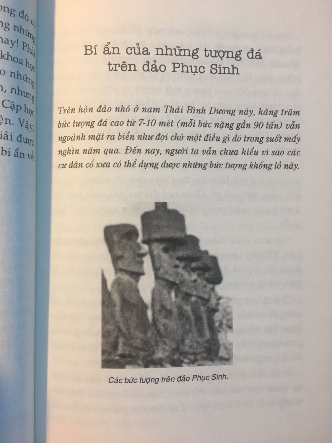 Mình đã đọc tập 1 và rất thích series này luôn. Chắc chắn mình sẽ dành tiền mua nốt các tập sau :)))
