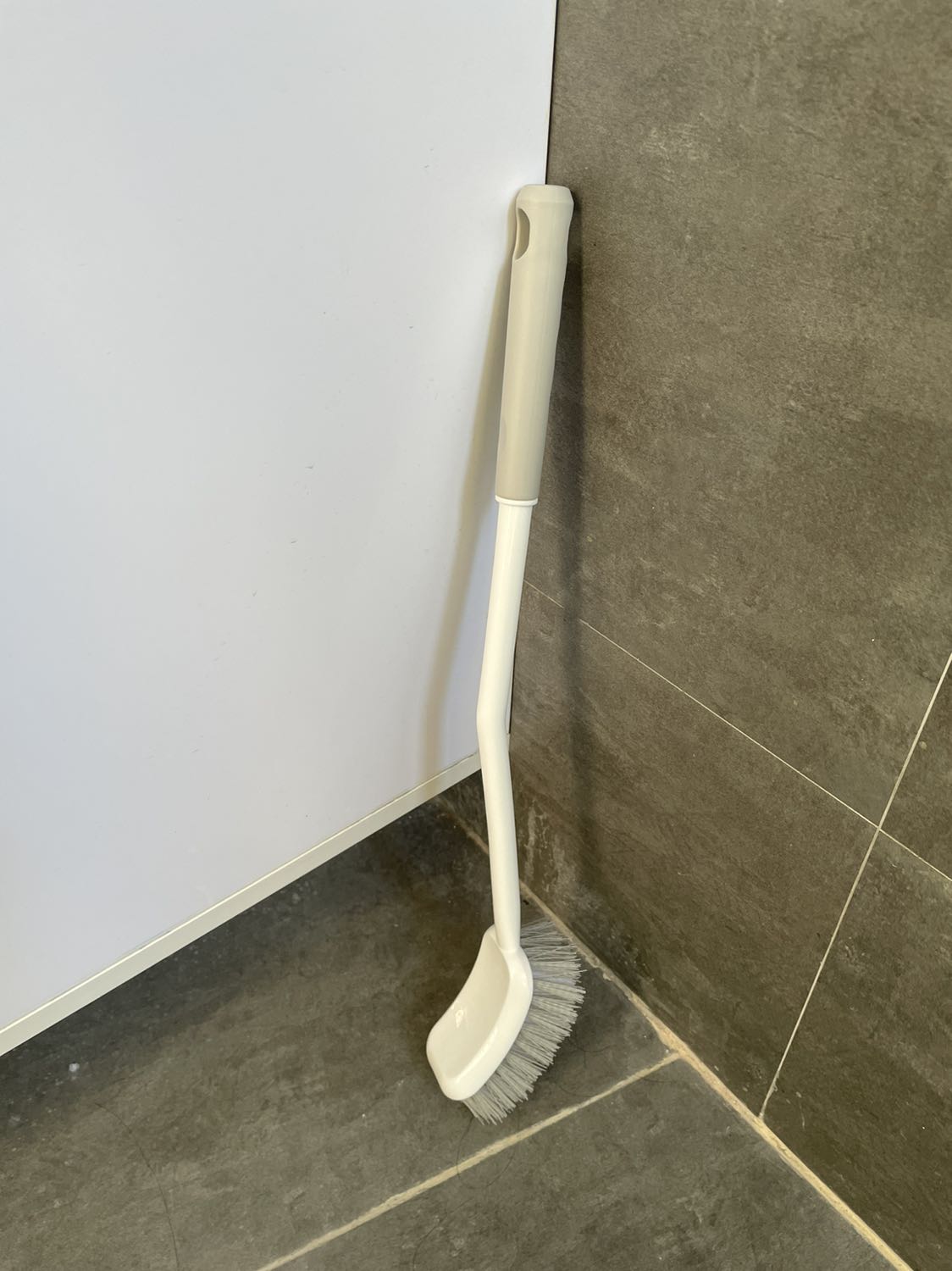 Cây cọ cứng cáp, cọ chà sàn tốt.