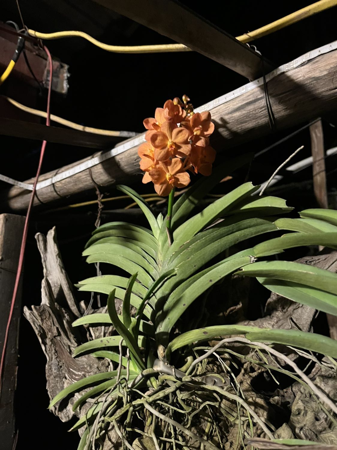 Chất lượng tốt , tiền nào của đáy Chất lượng tốt , tiền nào của đáy