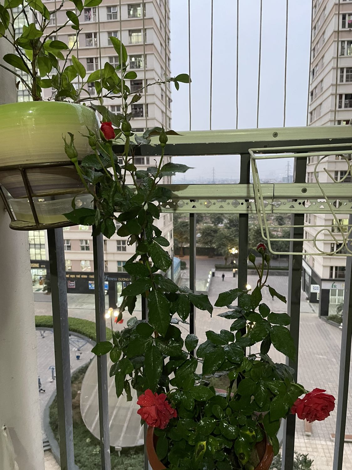 Hình ảnh mang tính chất nhận xu, sản phẩm đẹp, đóng gói cẩn thận, mh đã mua lần thứ 3