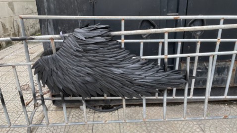 Giao hàng nhanh, lên màu đúng