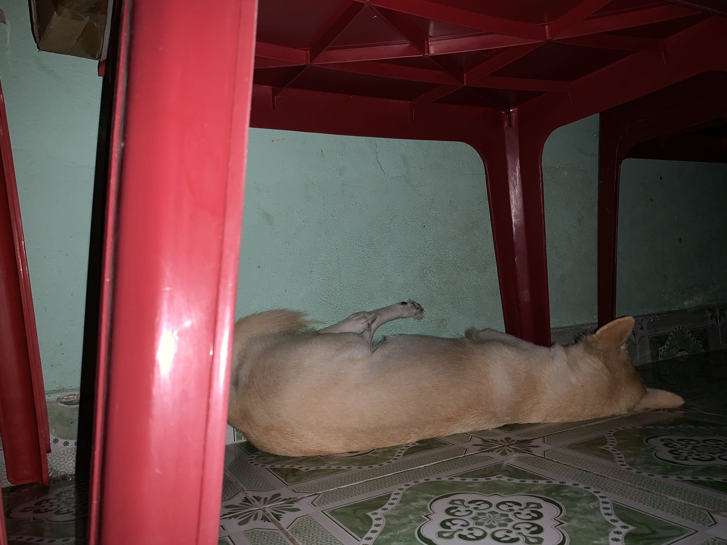 Cảm ơn tiki nhiều lắm . Tiki