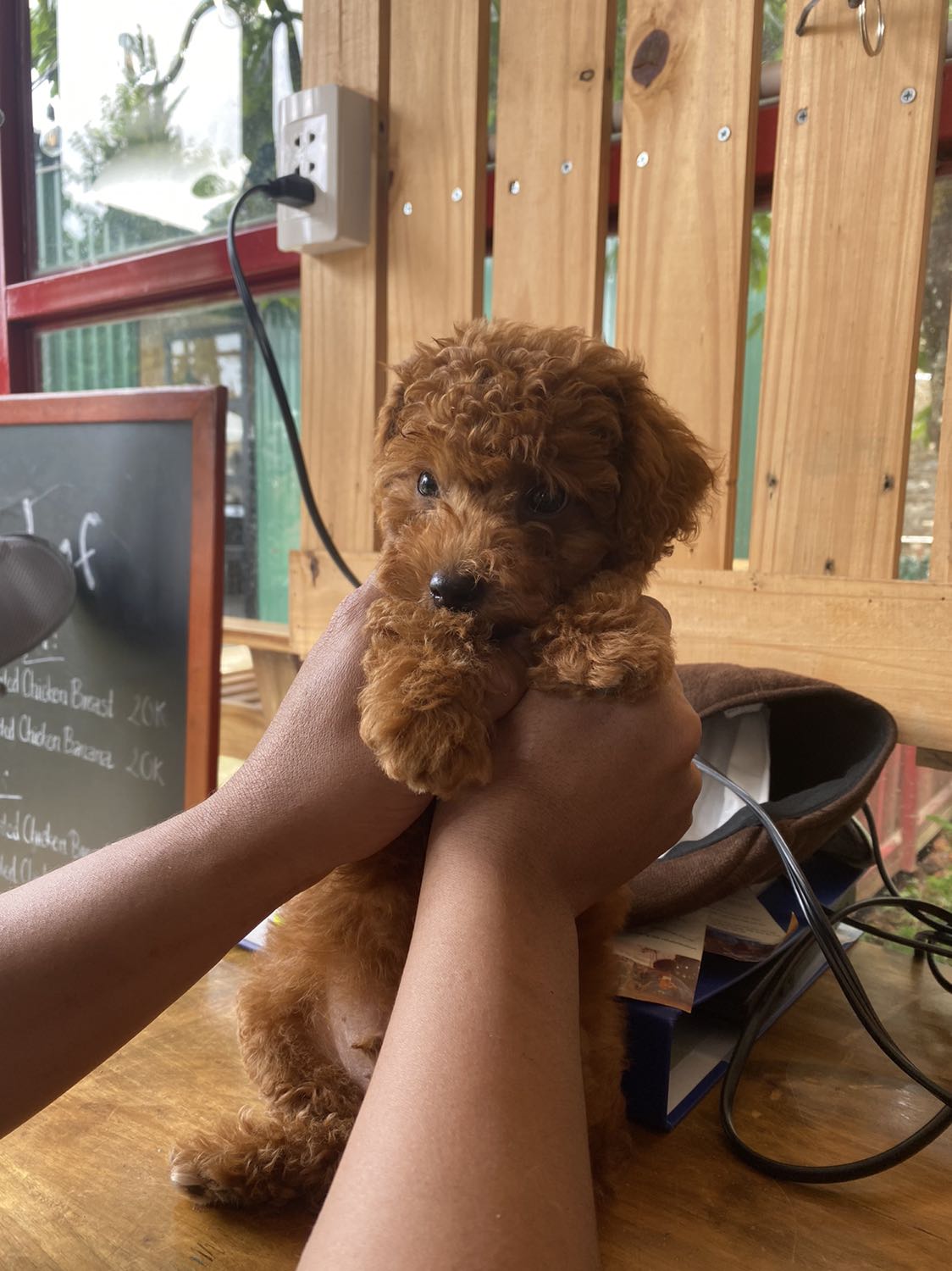 Hohihihihohohohi hàng ok nha