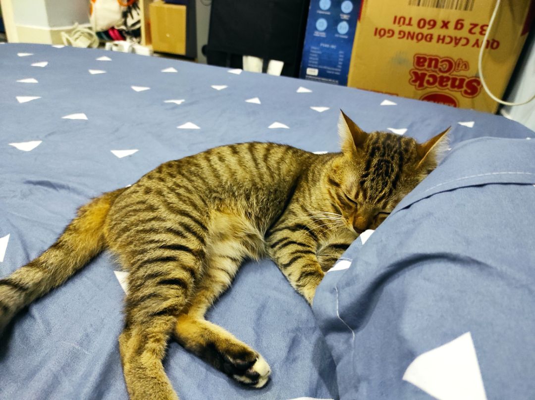 ok ổn hàng đẹp bút vẽ xinh xắn giá tiền hơi mắc nhưng chất lượng khá là ok. các bạn nên mua ok ổn hàng đẹp bút vẽ xinh xắn giá tiền hơi mắc nhưng chất lượng khá là ok. các bạn nên mua