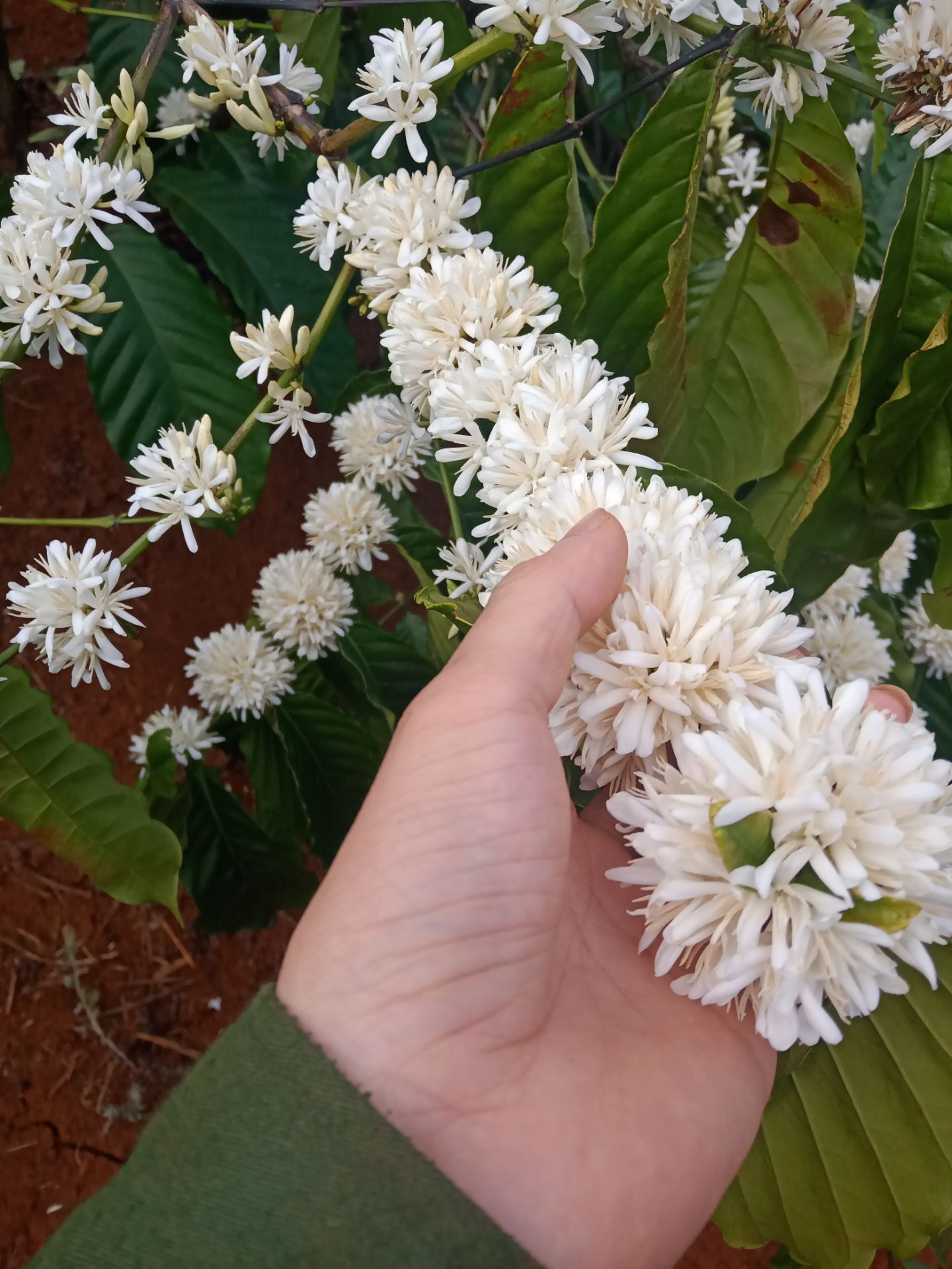 thấy cũng ổn nhưng thấy sao nắp mở ra nó dễ dàng quá ko biết chất lượng ra sao