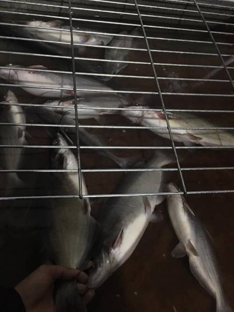 Sản phẩm tốt chất lượng nên mua. ghế đẹp như hình đầy đủ phụ kiện