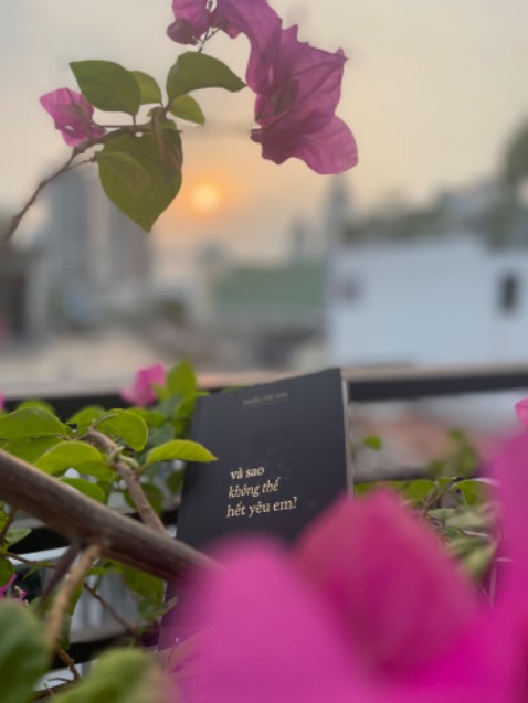 Thơ đọc khá vui, lãng mạn cũng có nhé. Nói chung có những câu mà mình đọc cười té ghế. Có những câu đọc khá thấm. Sách nhỏ gọn cỡ 1 bàn tay thôi. Mang đi bỏ túi du lịch được.