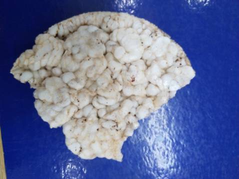 Ngon, ăn như bỏng, không thấy ngọt đường các Bạn ạ. Cũng to to, hơi mỏng, không thấy có dầu nên chắc là không phải chiên mà dùng công nghệ khác ấy. Mình mua đc giảm giá nên rất là vui