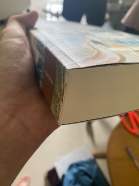 bìa sách bị trầy xước, tróc, sách bị dơ. Với lại mình thấy hình như là sách được bọc = màng bọc thực phẩm chứ kh phải seal sách bình thường???? Kh có chống sốc.