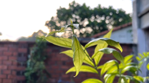 Sách hay, đáng đọc!